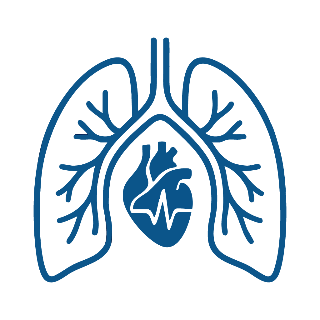 logo doctor 01
